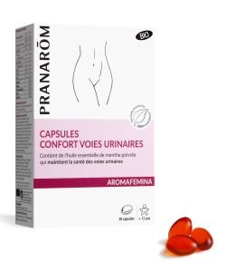 CAPSULES CONFORT VOIES URINAIRES BIO 30 CAPS